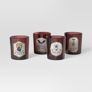 4pk nwt 13.87 fl oz Drink Glass Set - Threshold